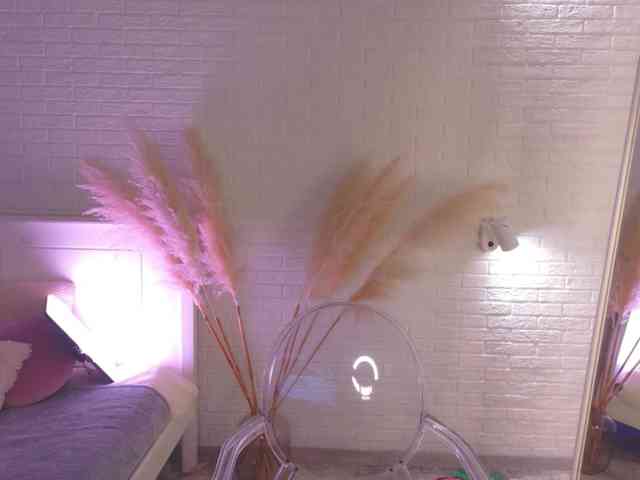 CrazyWine webcam