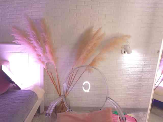 CrazyWine webcam