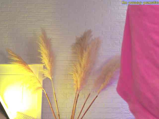 CrazyWine webcam