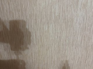 Suchkaaa Porn Show
