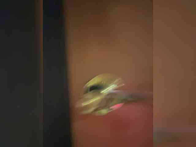 SamantaSOSi webcam