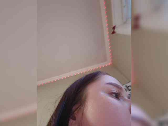 UrBunny webcam
