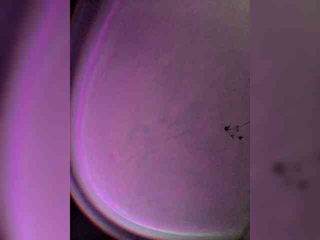 xanmndixx Live Webcam on BongaCams