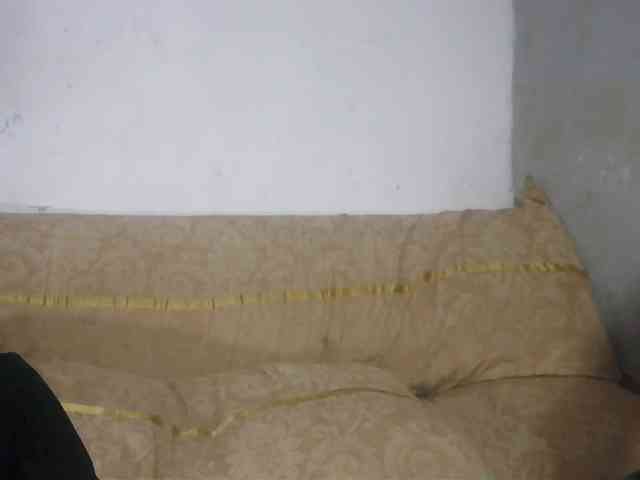 pocahontasb1 webcam