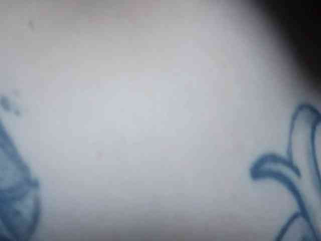 pocahontasb1 webcam