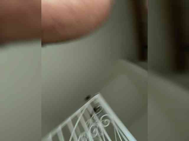 Vancock21 Sex Cam Show