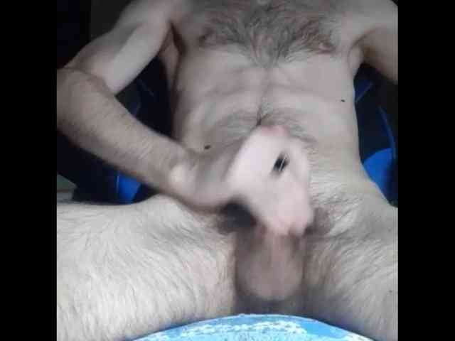 hard-ua