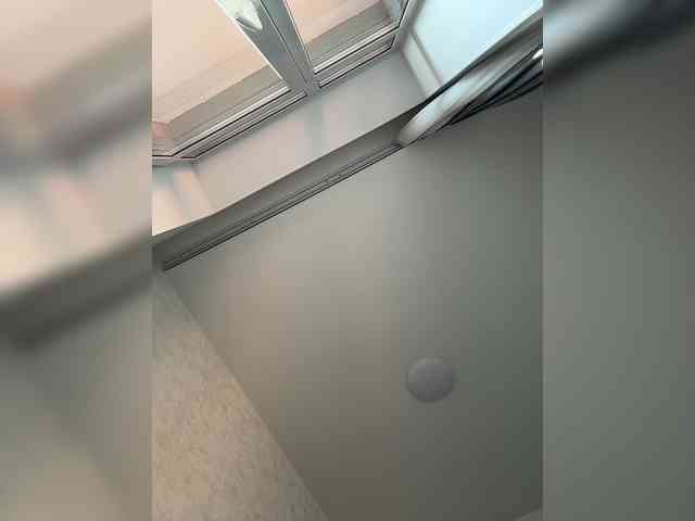 Enchantix webcam