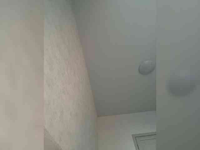 Enchantix webcam