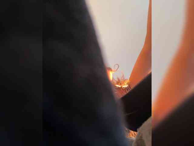 Enchantix webcam