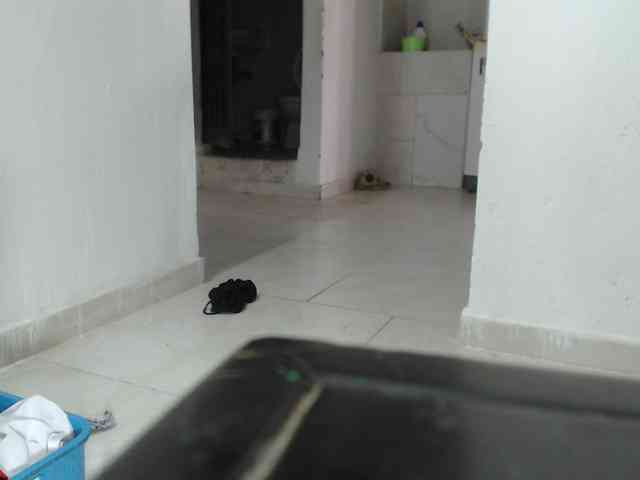 Pamela2023 webcam