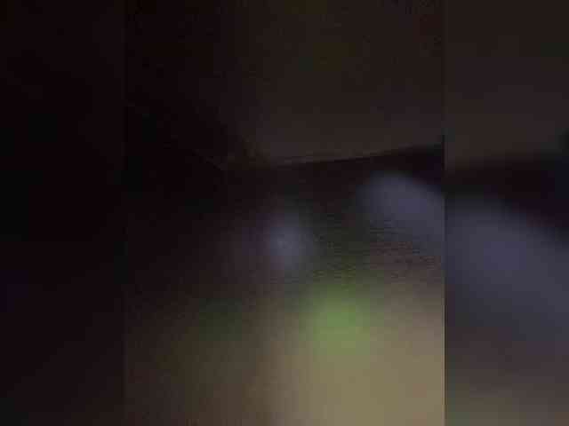 Nellie-Lolly webcam