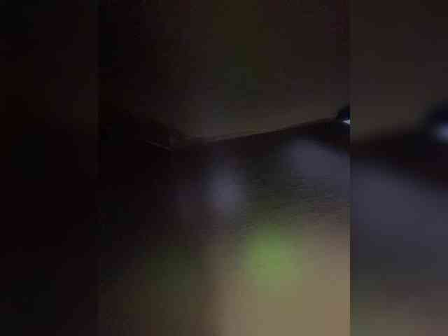 Nellie-Lolly webcam