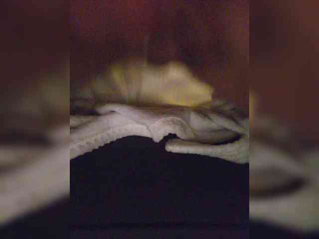 Lookolook1