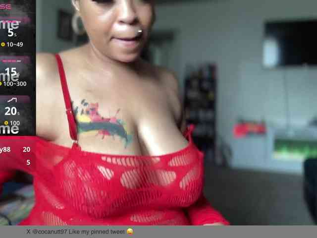 CocaNutt webcam