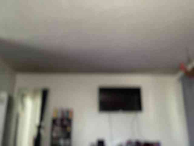 CocaNutt webcam