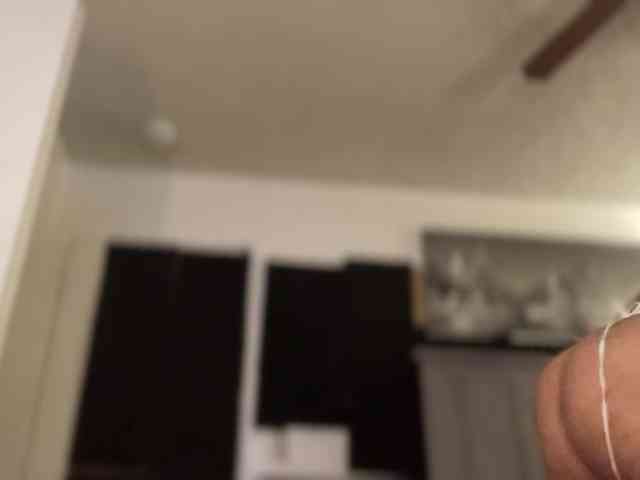 CocaNutt webcam
