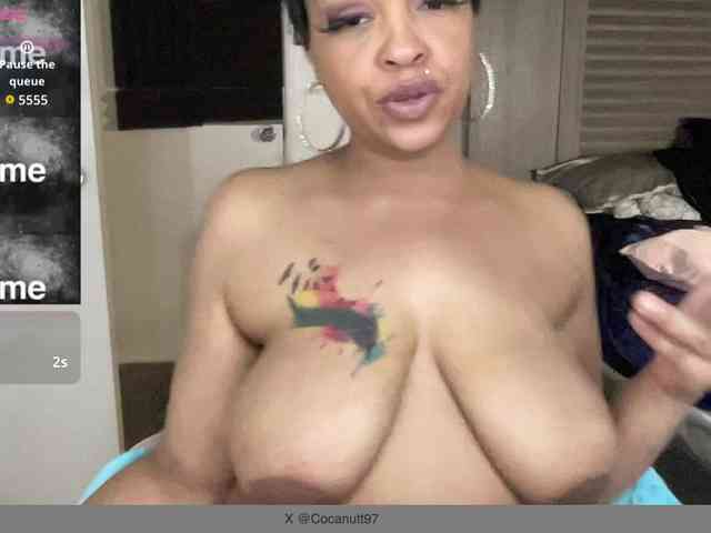 CocaNutt webcam