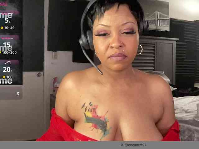 CocaNutt webcam