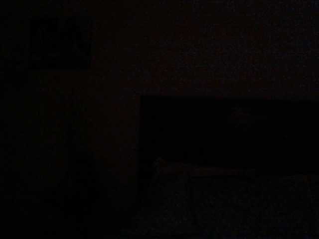 paitience's BongaCams show and profile