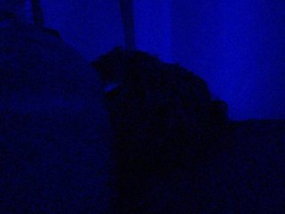 Tinablackkk Porn Show