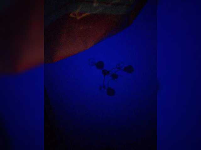 Tinablackkk's BongaCams show and profile