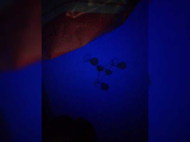 Tinablackkk's BongaCams show and profile