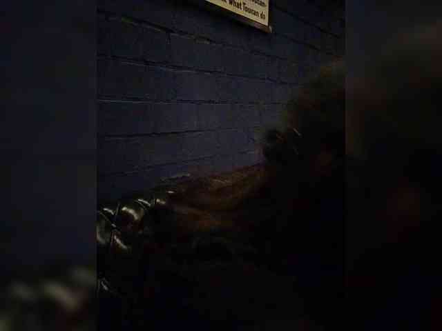 Tinablackkk webcam