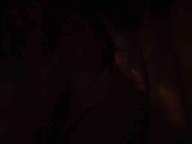 Tinablackkk