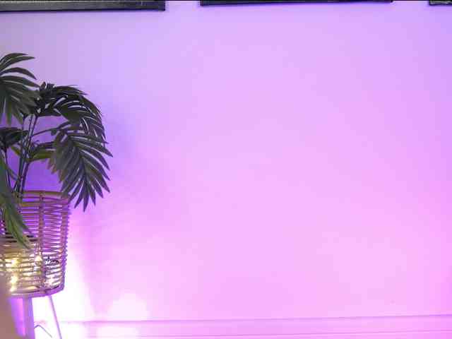 SophiaPotts webcam