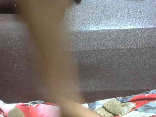 Amelia25 webcam