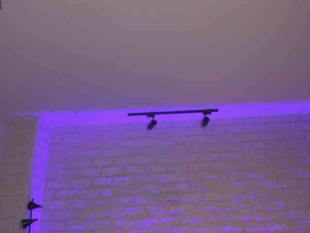MaddisonCollins webcam