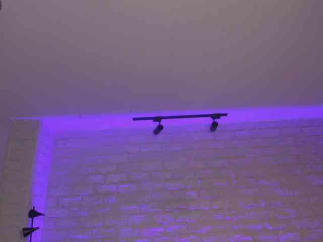 MaddisonCollins webcam