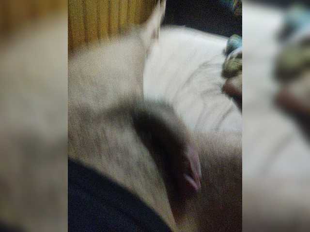 le modèle Aidamir777 est en webcam porno dans un show sur le site bongacams, il possède les tags suivants: White/Caucasian,Brunette,Trimmed