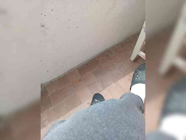 Xyzxxxhkoj