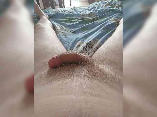 Vasyakiza1 Sex Cam Show