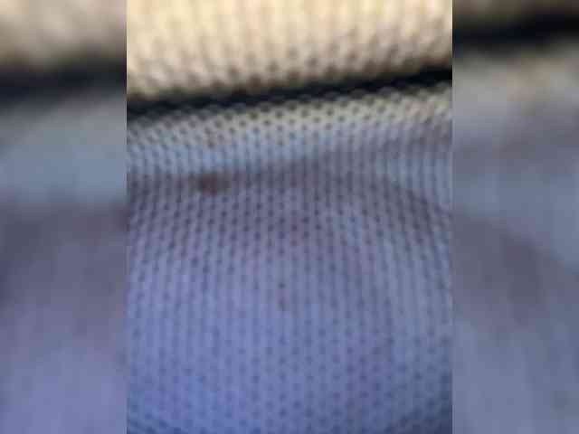 Milkkksheik-981 webcam