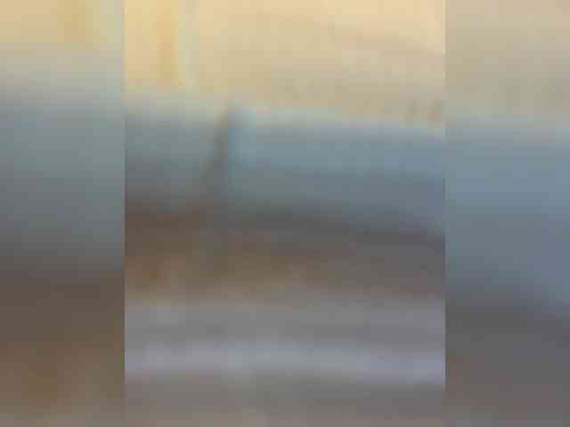 Milkkksheik-981 webcam
