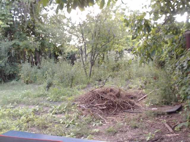 Alexilon live cam