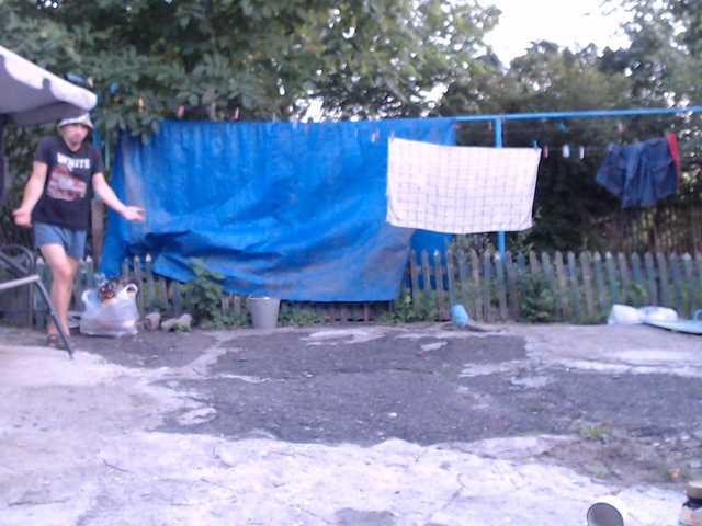 Alexilon