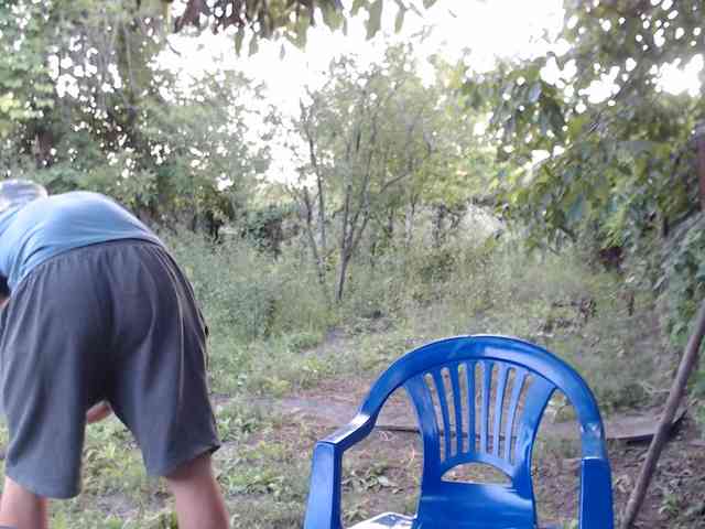 Alexilon
