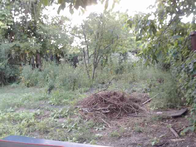 Alexilon