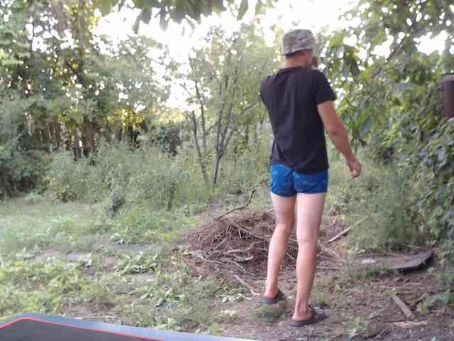 Alexilon
