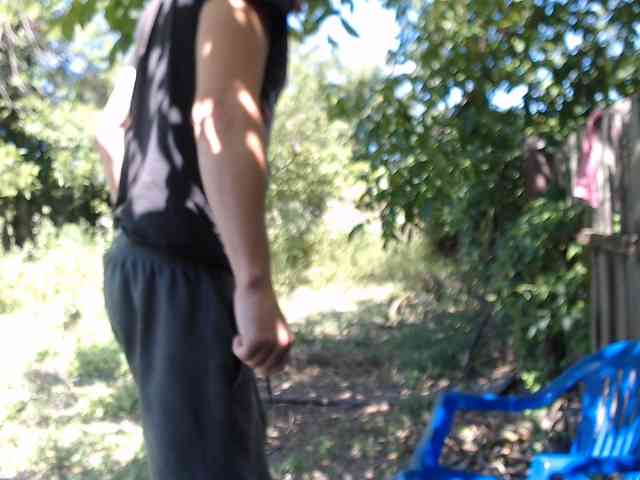 Alexilon