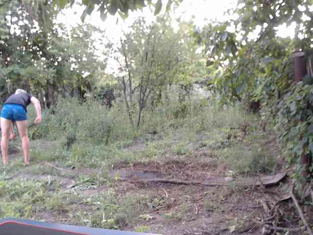 Alexilon