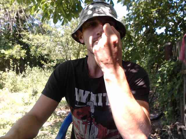 Alexilon