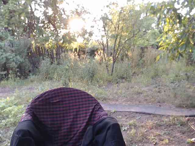 Alexilon