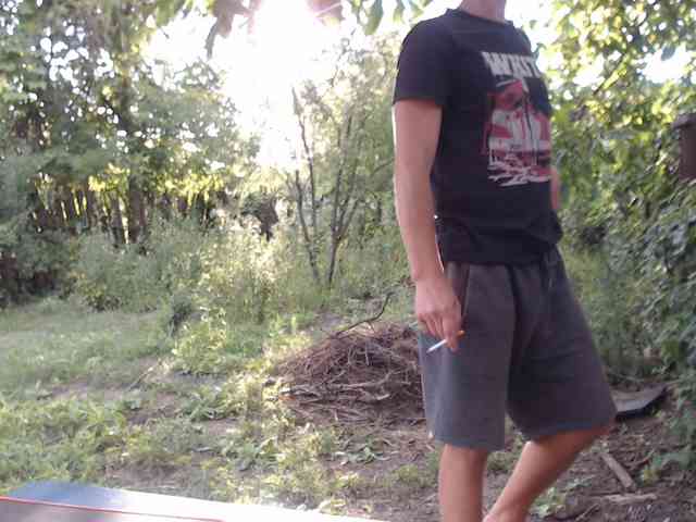 Alexilon