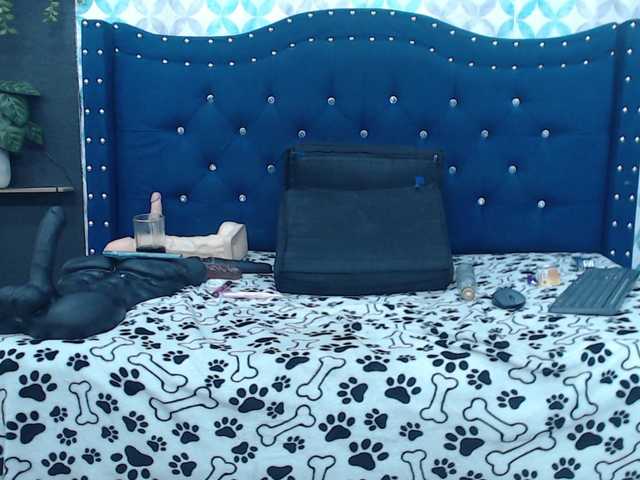 catalella-latina live cam on BongaCams
