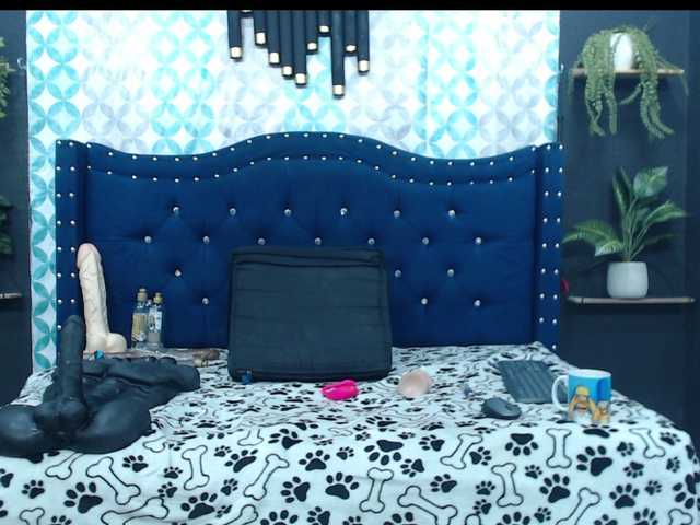 catalella-latina live cam on BongaCams